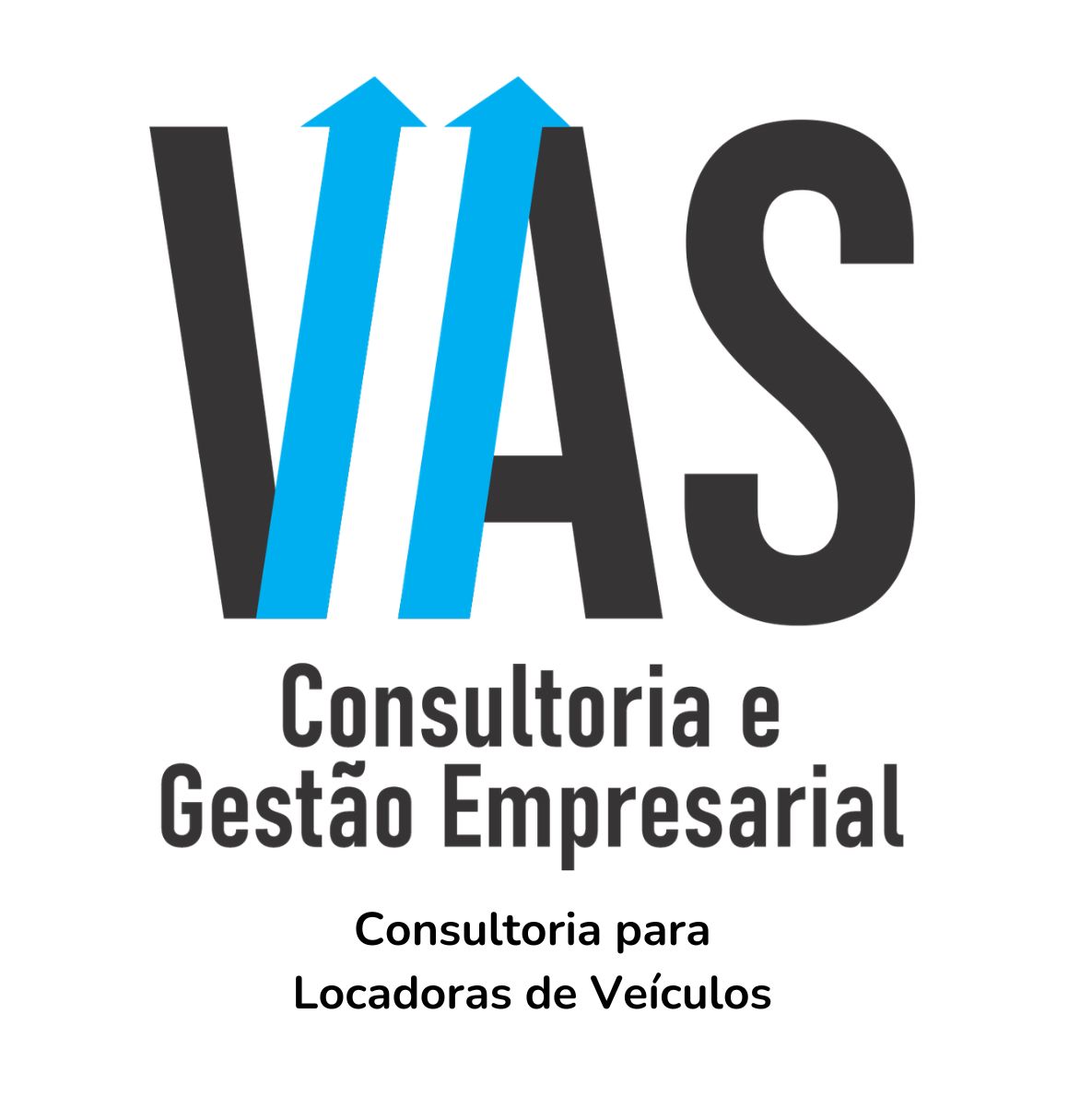 Vas Consultoria e Gestao Empresarial
